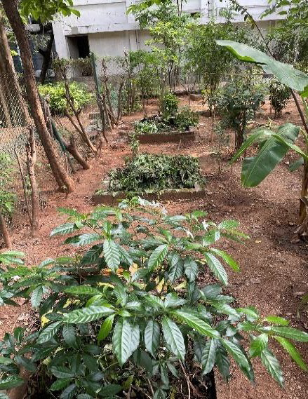 Nature Walk at Mr. MCR HRDI Campus